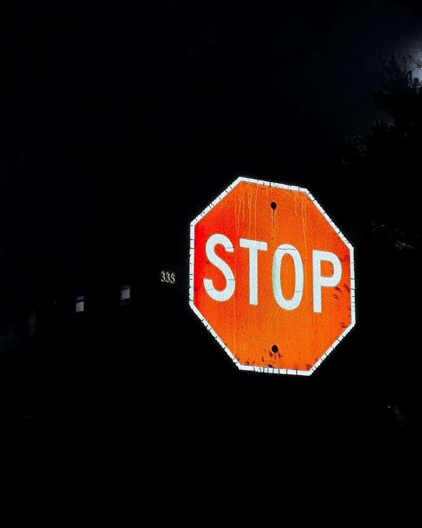 A Walk Under Dark and Light